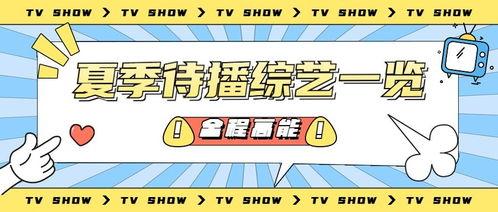 吃瓜娱乐主播营销号,揭秘吃瓜娱乐主播的营销秘籍
